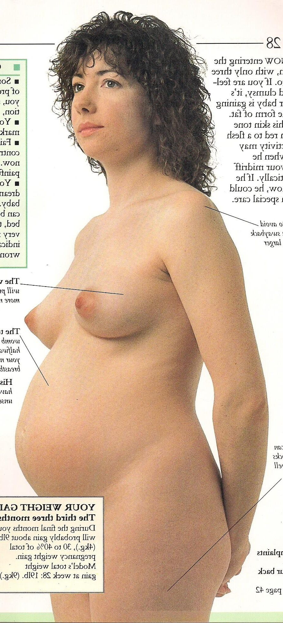 Pregnancy and labour vintage magazine