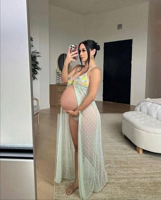 Pregnant beauties 7