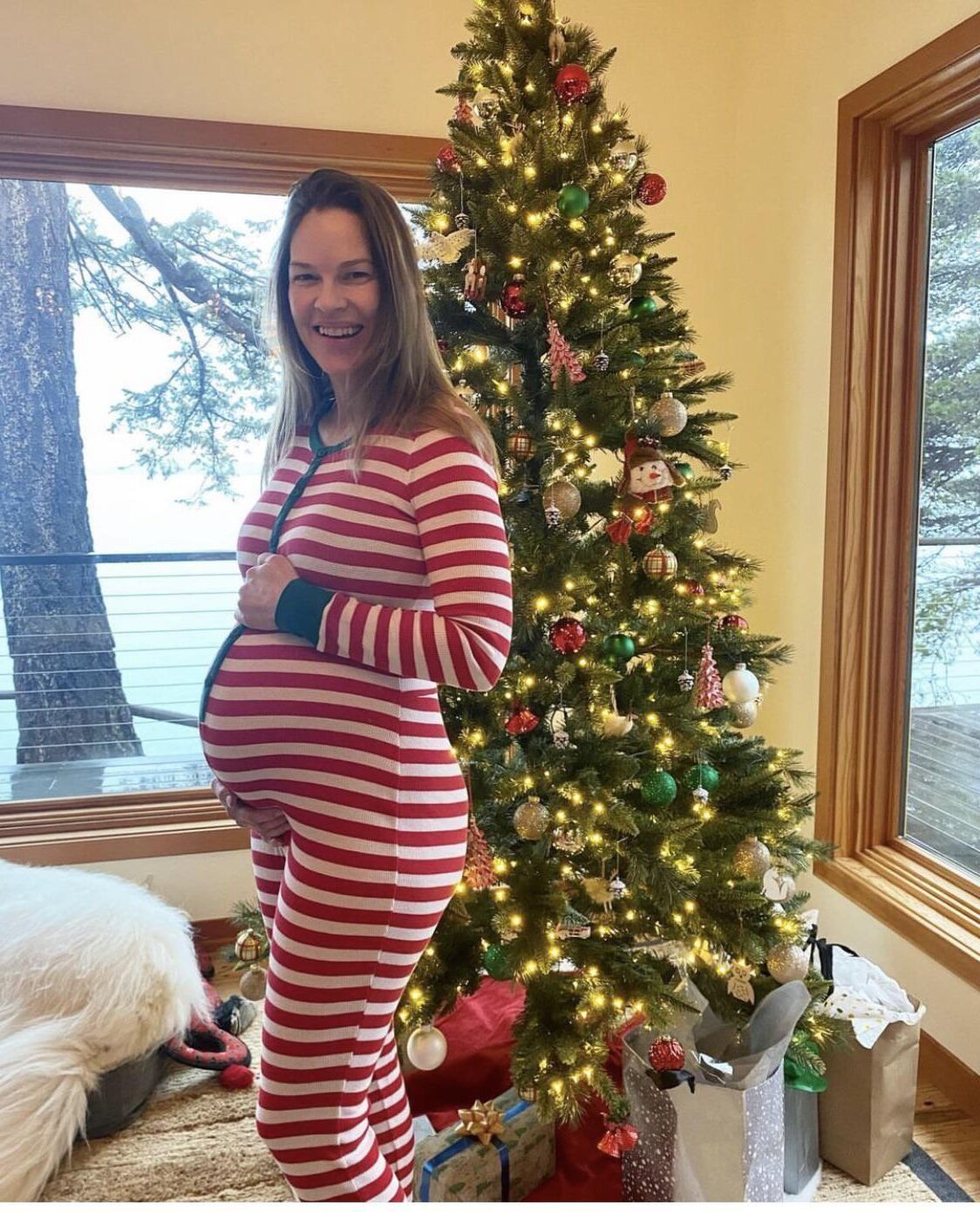 Hilary Swank twin pregnant at 48