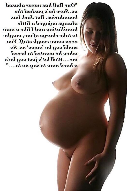 Pregnant Hotwives volume six (compilation)