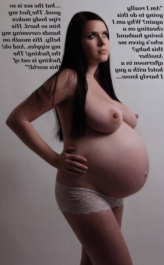 Pregnant Hotwives volume four (compilation)