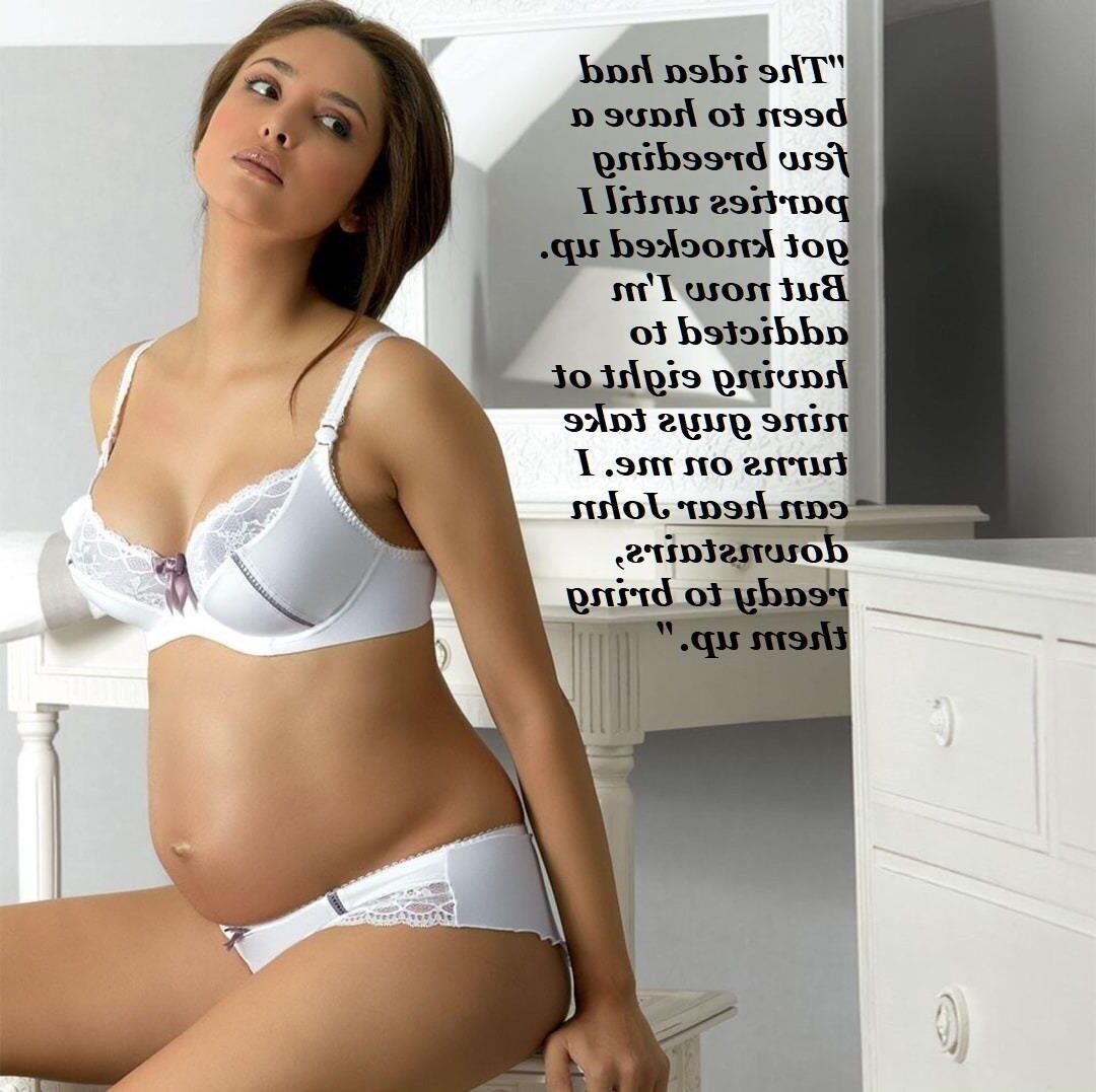 Pregnant Hotwives volume four (compilation)