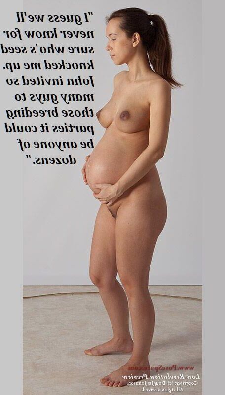 Pregnant Hotwives volume six (compilation)