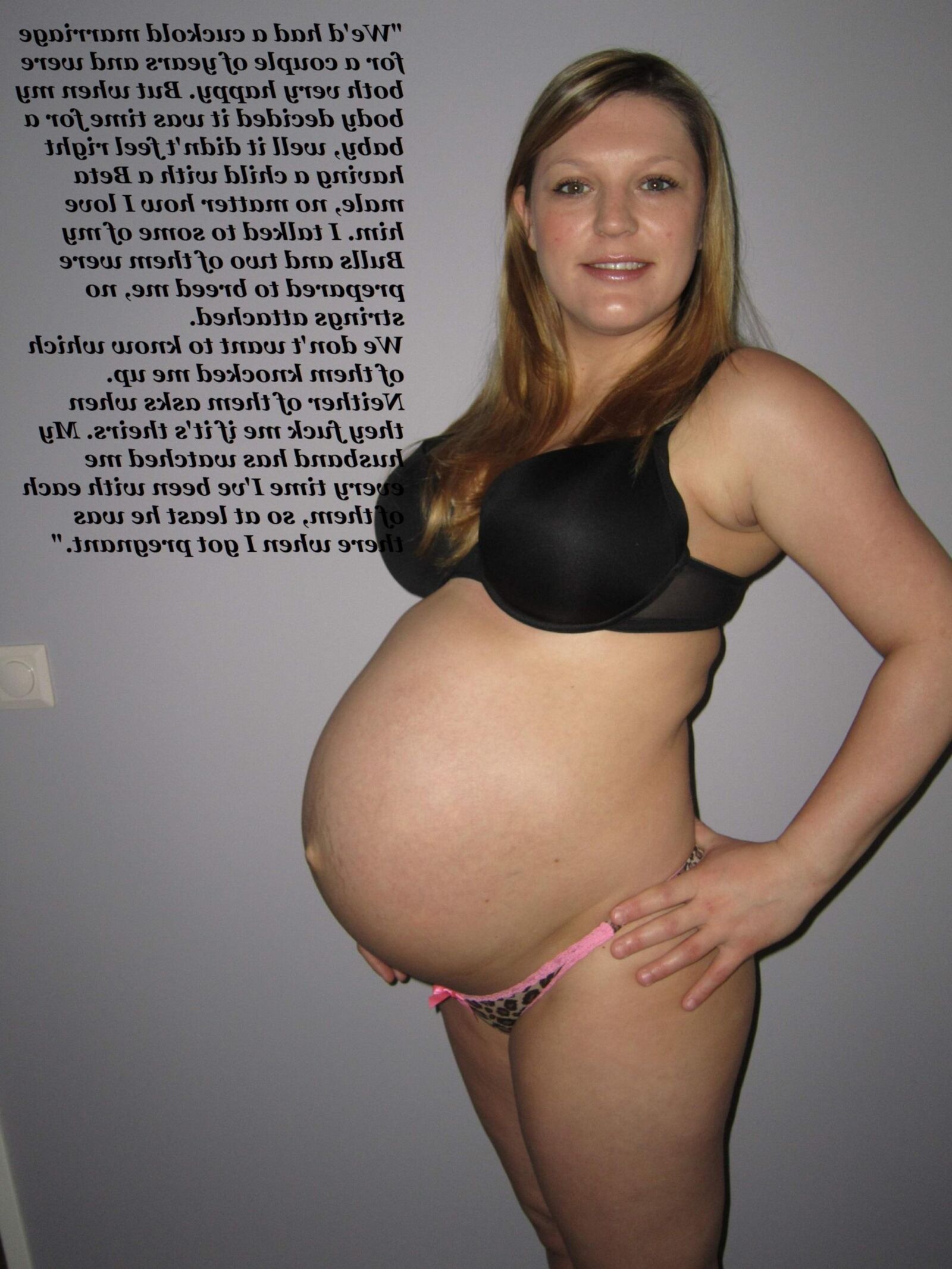 Pregnant Hotwives volume four (compilation)