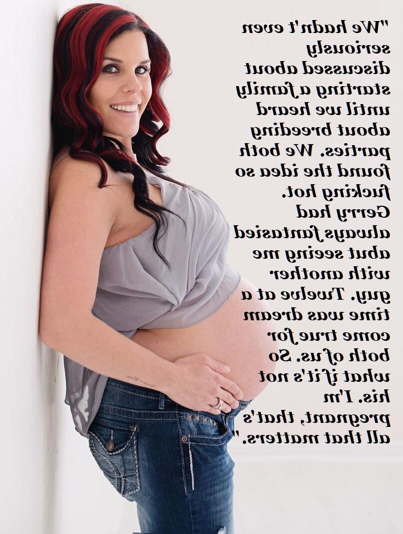 Pregnant Hotwives volume six (compilation)