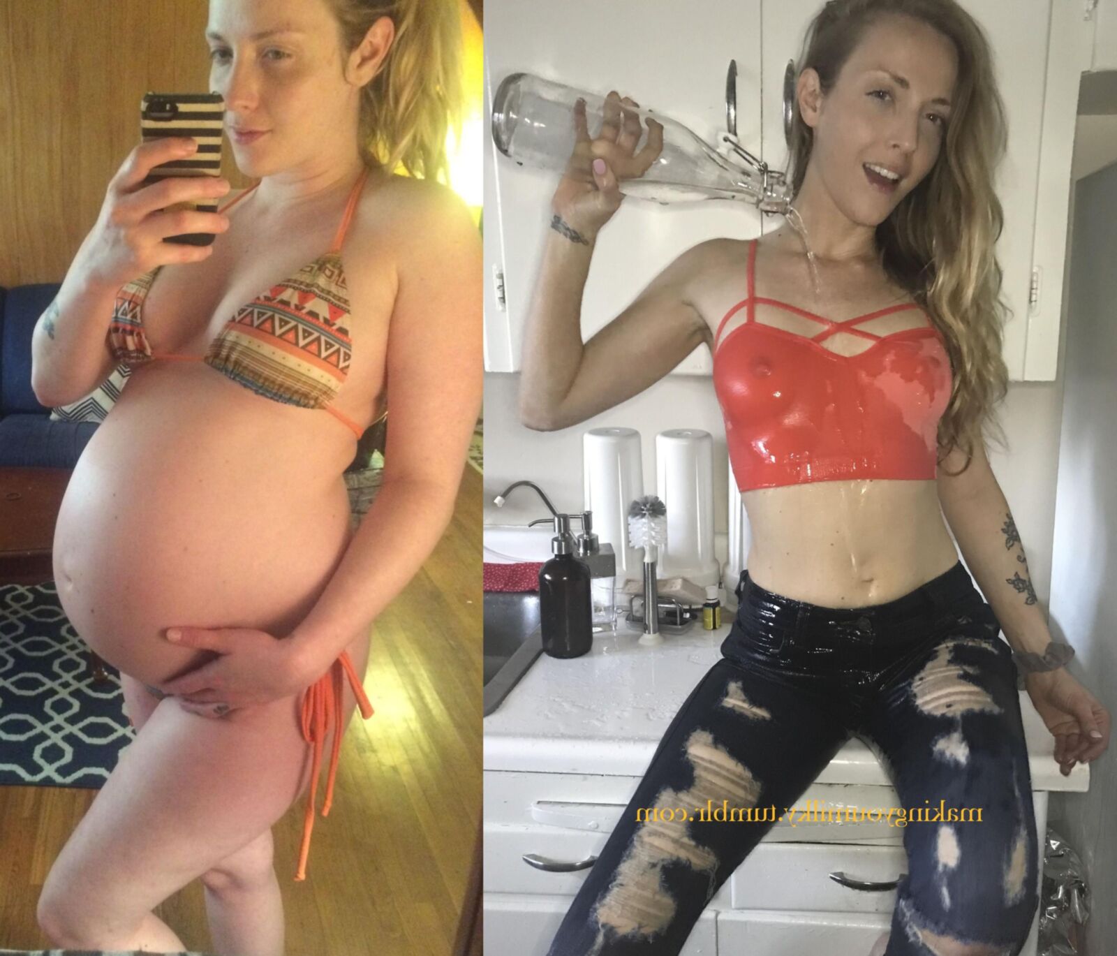 Pregnant Transformations, Part 23