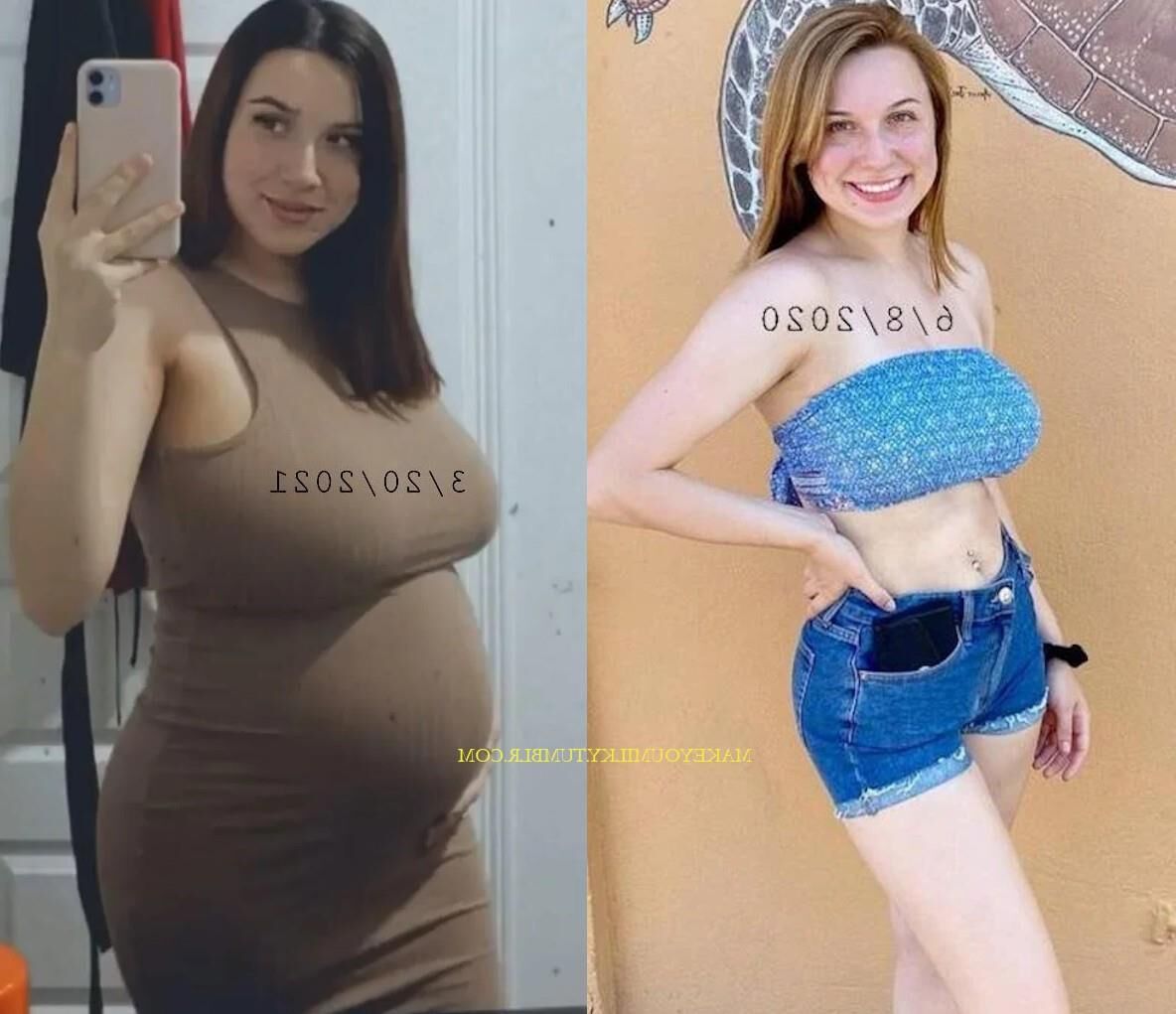 Pregnant Transformations, Part 19