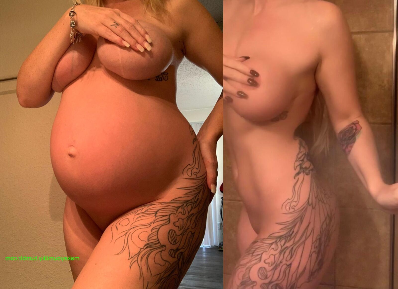 Pregnant Transformations, Part 13