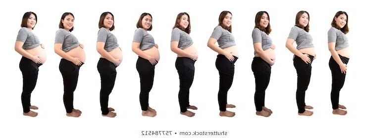 Other Pregnant Transformations, Part 13