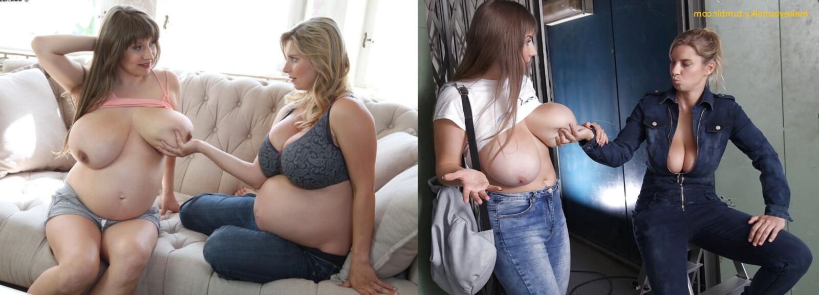 Pregnant Transformations, Part 6