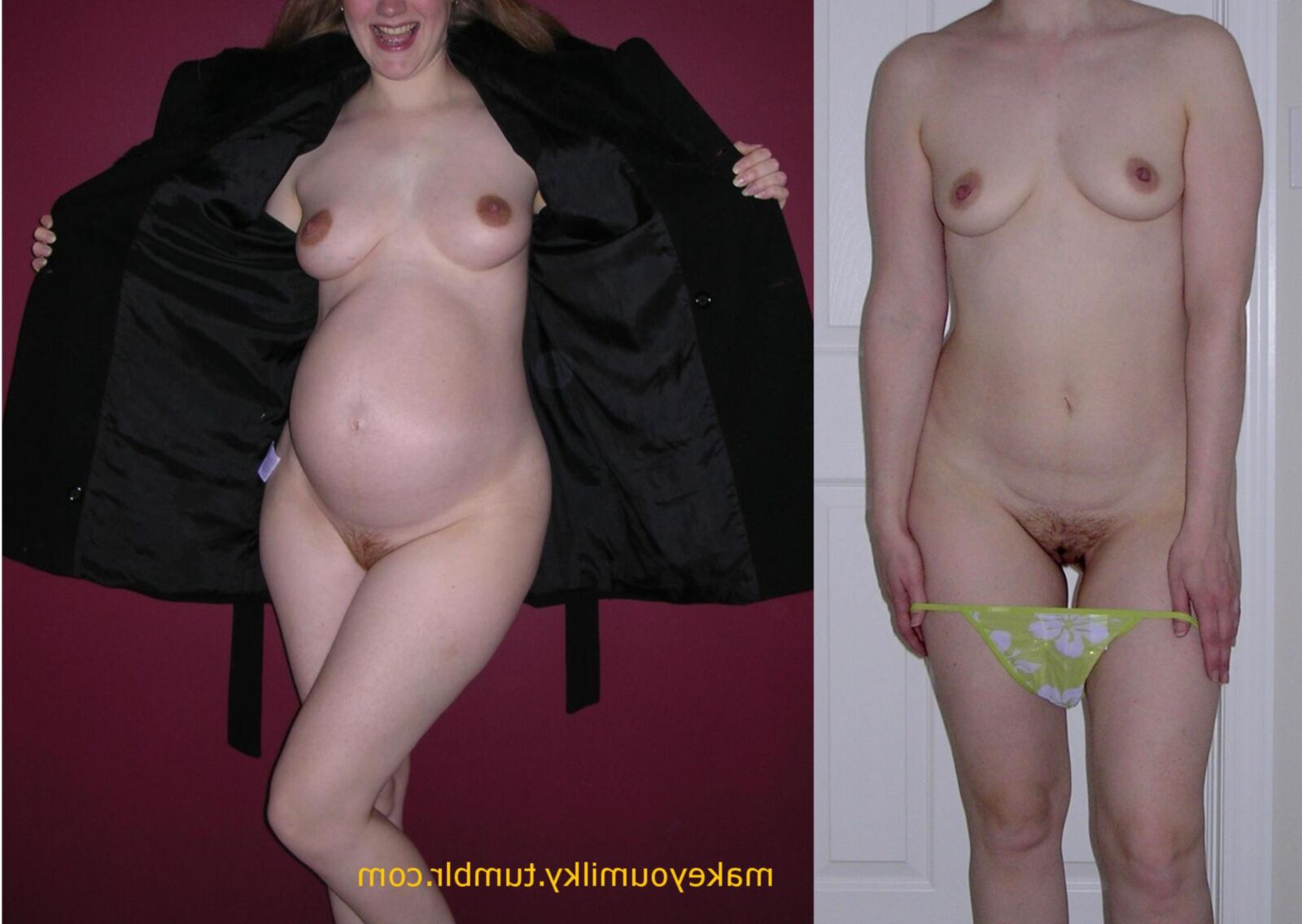 Pregnant Transformations, Part 6