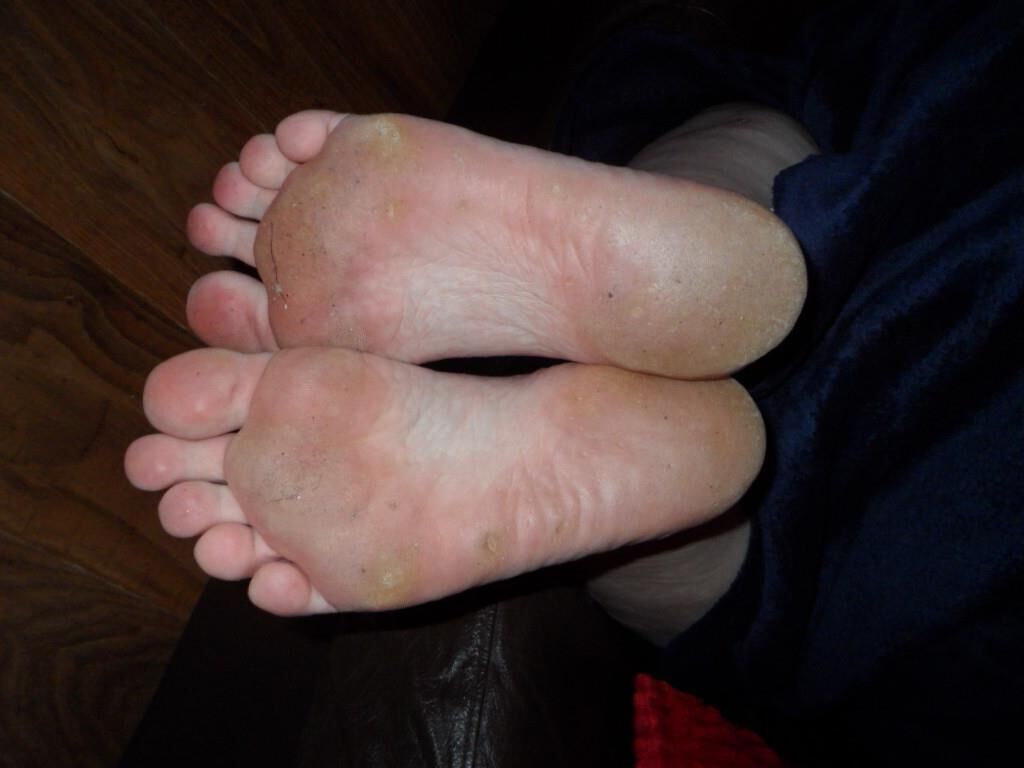 wifes feet