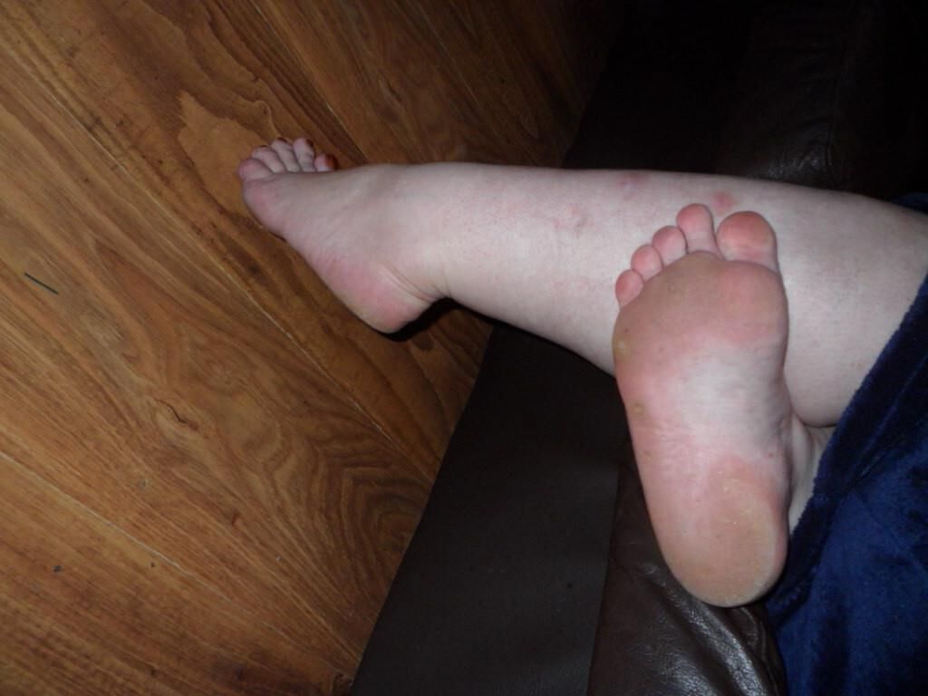 wifes feet