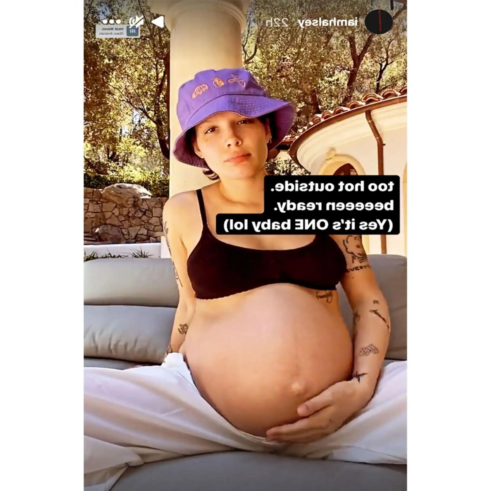 Halsey pregnant