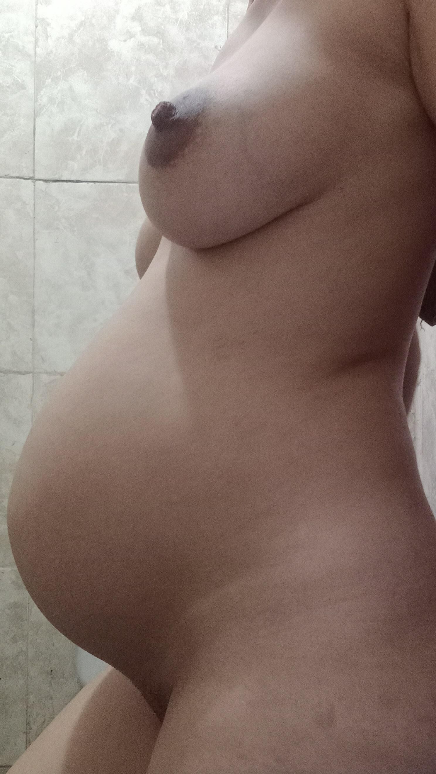 Assorted pregnant cunts 