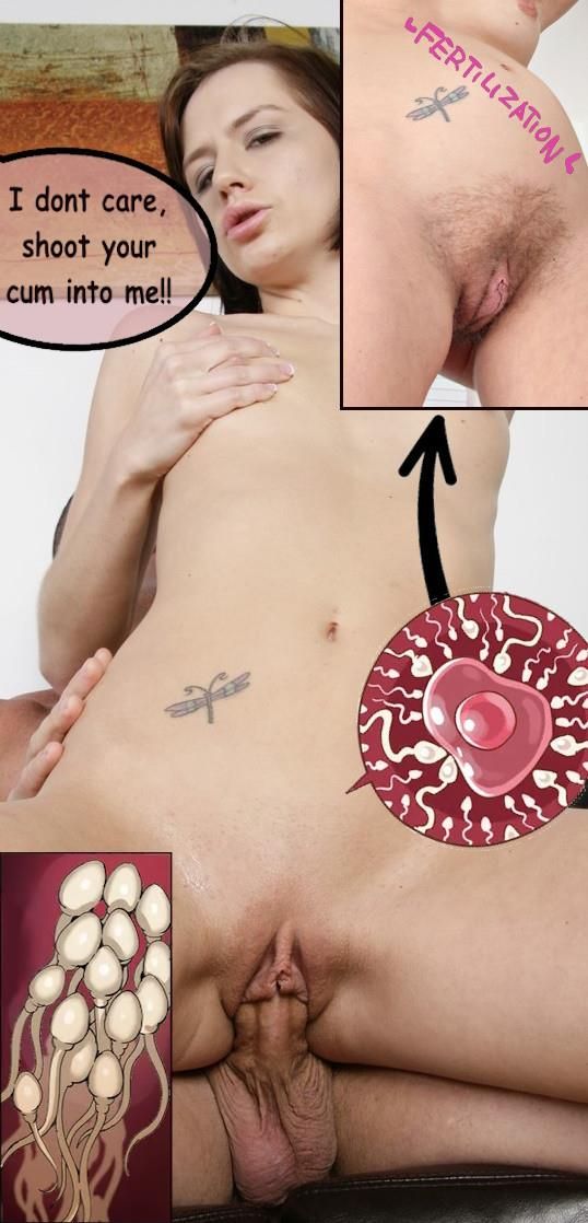Impregnation