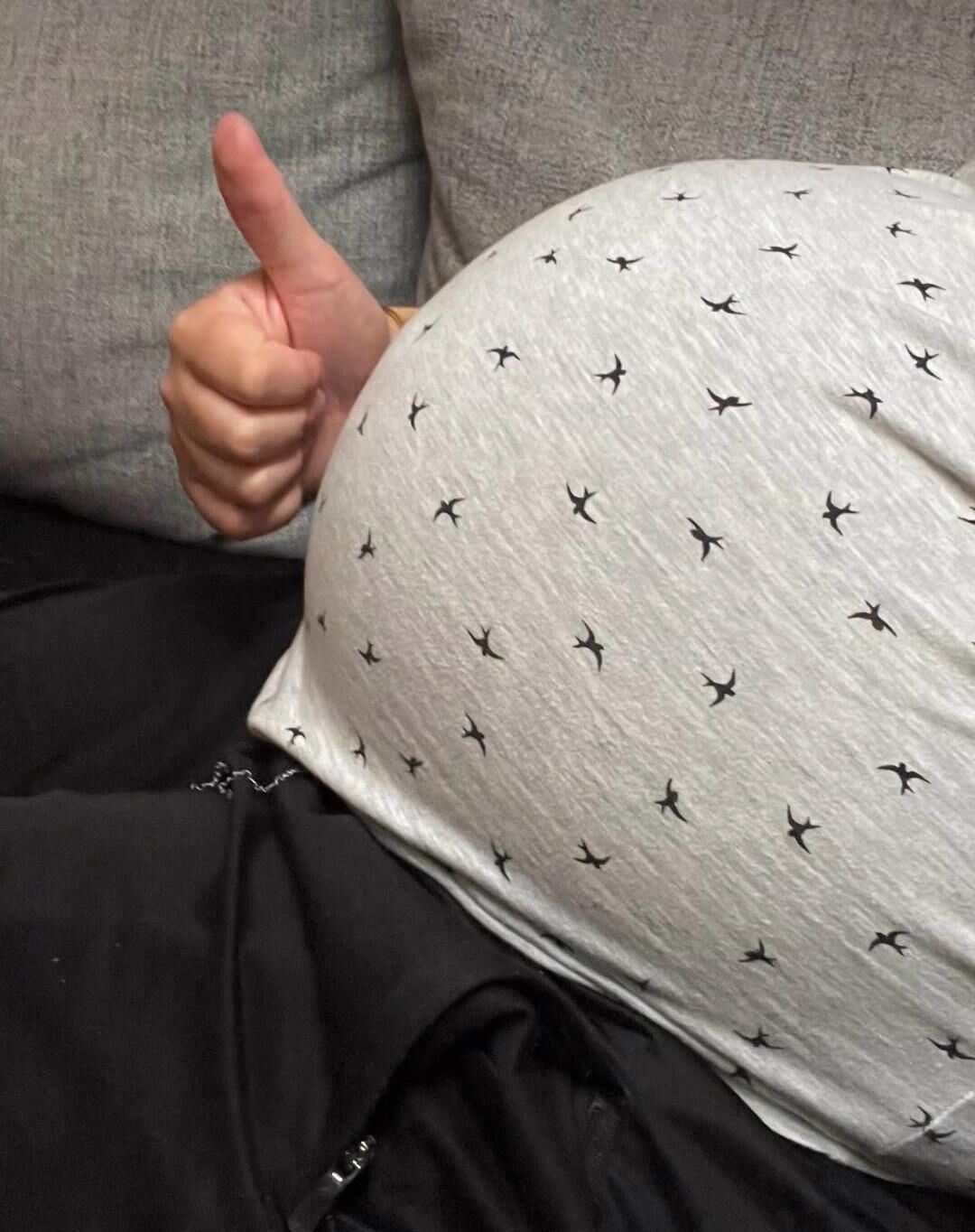 schwangere Fotzen/pregnant cunts