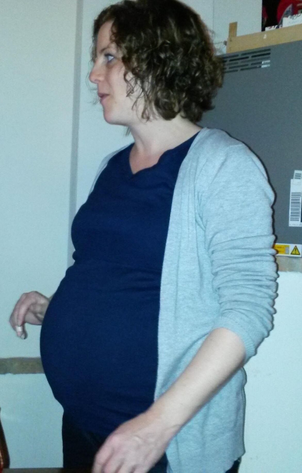 schwangere Fotzen/pregnant cunts