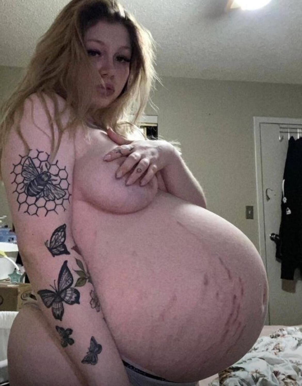 Pregnant Beauties 