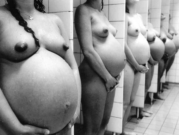 Pregnancy eroticism (with friends)